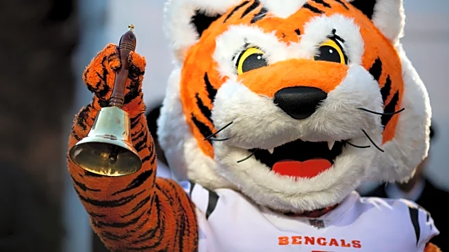 NFL free agency Day 2 discussion and Bengals news