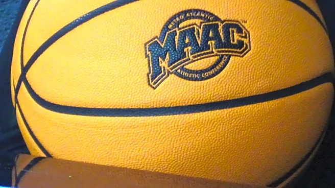EXCLUSIVE: One-on-one interview with MAAC Commissioner Travis Tellitocci