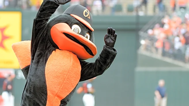 Camden Chat’s 2026 Pre-Season Contest