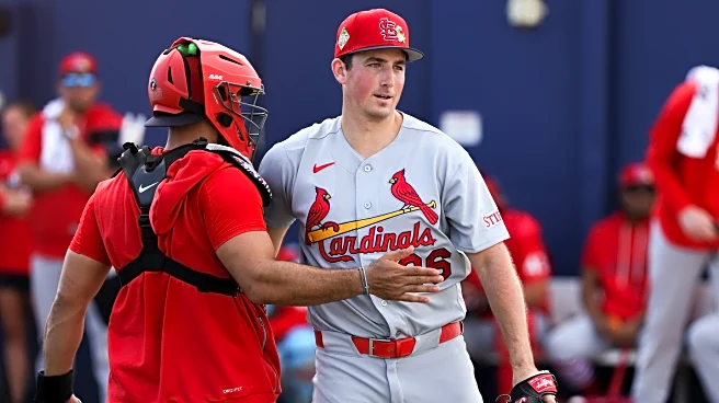 Spring Training Game Discussion for St. Louis Cardinals vs New York Mets