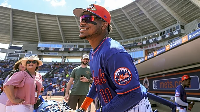 Grapefruit Juice: Cardinals 3, Mets 1—Polanco goes yard