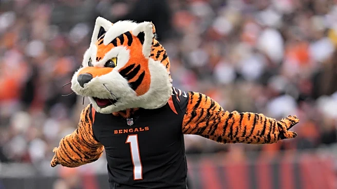 NFL free agency Day 3: Open thread and Bengals news