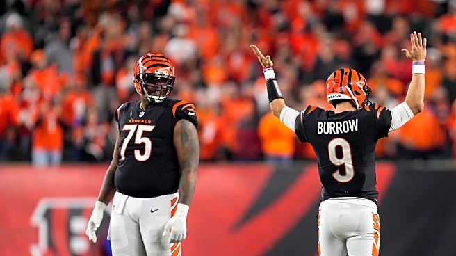 12 winners and 3 losers from Bengals’ second wave of free agency moves