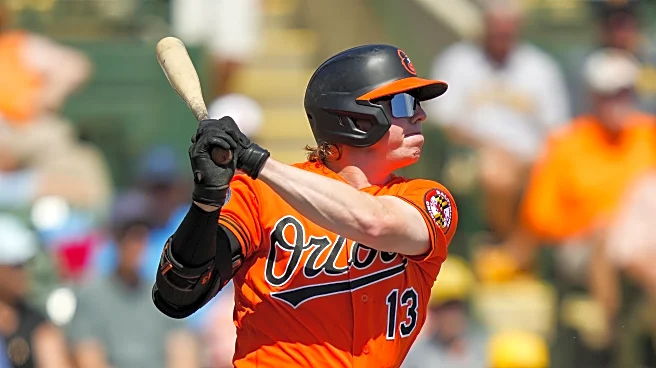Which dark horses could squeeze onto the Orioles roster?