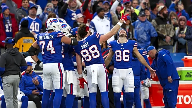 State of the Buffalo Bills roster: tight ends