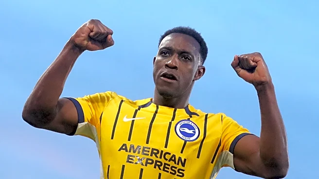 Fan Focus: What Can Sunderland Expect From Brighton Today?