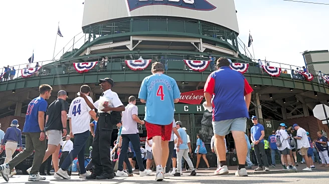 SB Nation Reacts survey says The Cubs will be very good this year