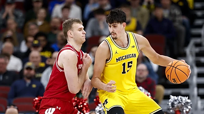 3 quick takeaways from the Badgers loss to Michigan: What A Tournament Run