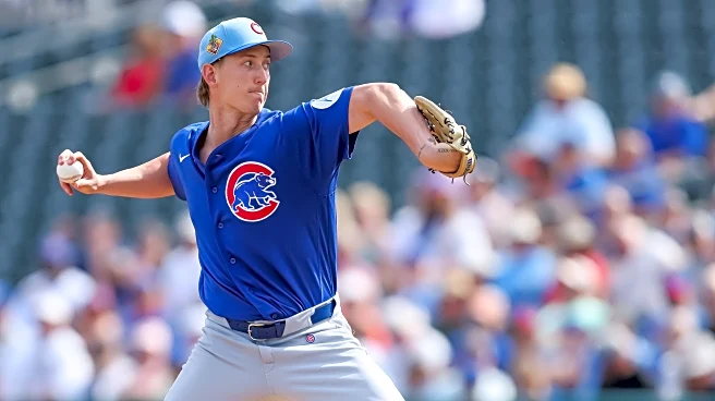 Rockies 4, Cubs 3: Ben Brown shines