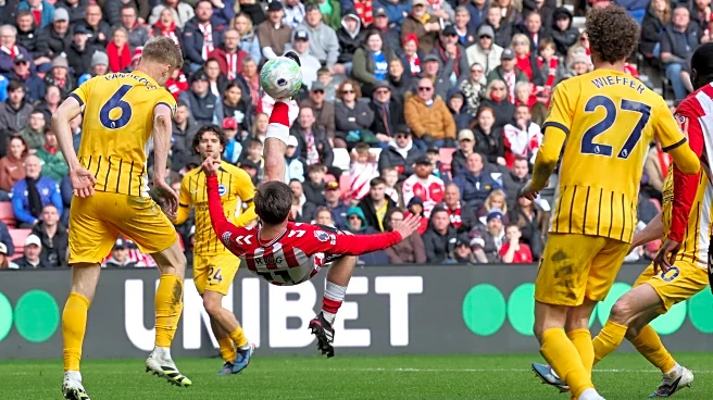 Matchday Musings: Sunderland Look Short Of Brighton’s Level…For Now