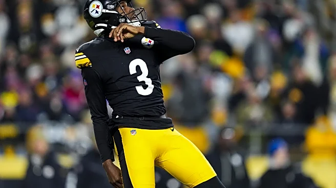 Former Steelers starter signs with San Francisco 49ers