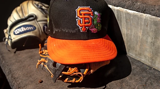 Spring Training results matter in this one specific way