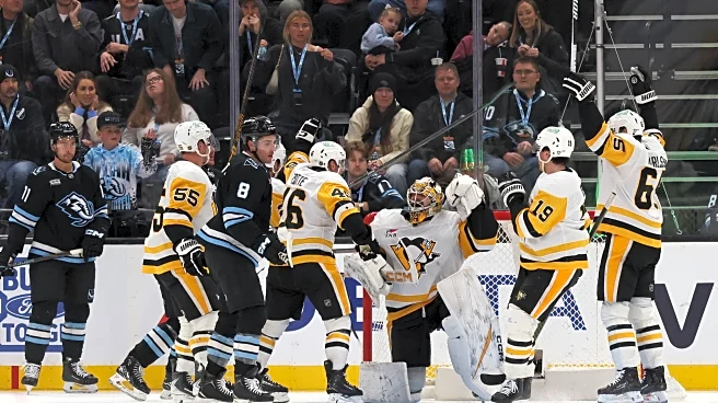 Odds favor the Penguins making the playoffs headed into final 16 games of the season