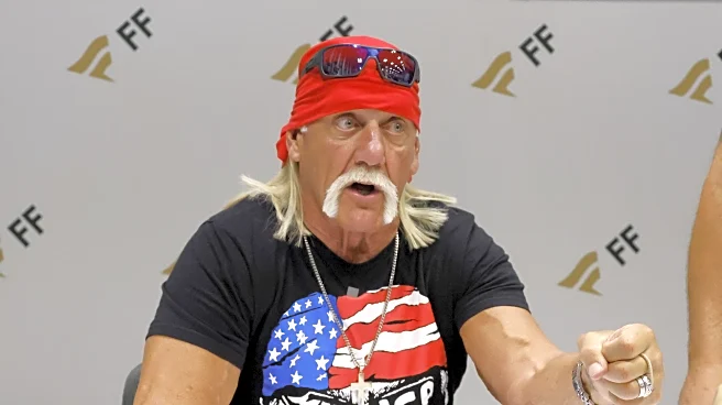Hollywood Hulk Hogan snubbed by Oscars