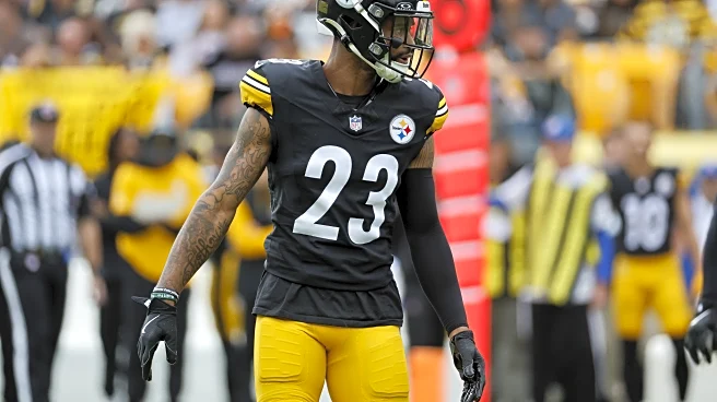 Former Steelers cornerback retires from NFL