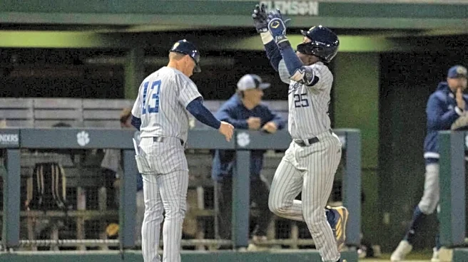 Scions E306: Baseball stays up