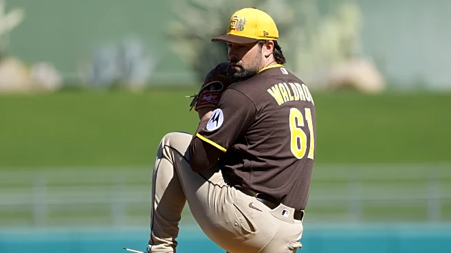 Spring Training is almost done