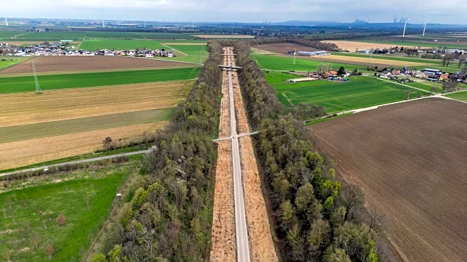 The Daily Hilario: Wednesday