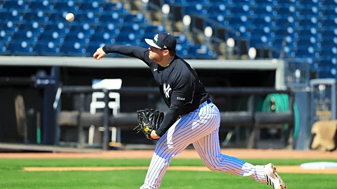 The Yankee bullpen and the error bar