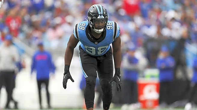 What Panthers writers, fans are saying about Lions EDGE D.J. Wonnum