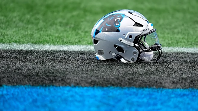 Panthers post-free agency projected depth chart