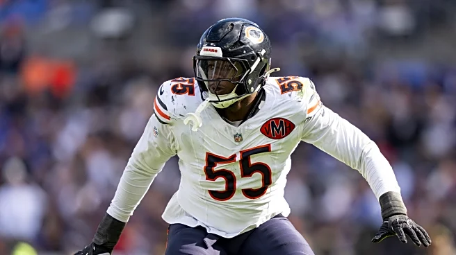 Bears Defensive Line Approach Truly Offensive
