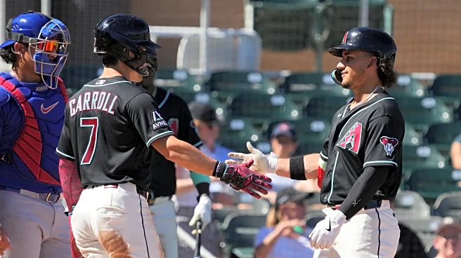 Arizona Diamondbacks 16, Chicago Cubs 8