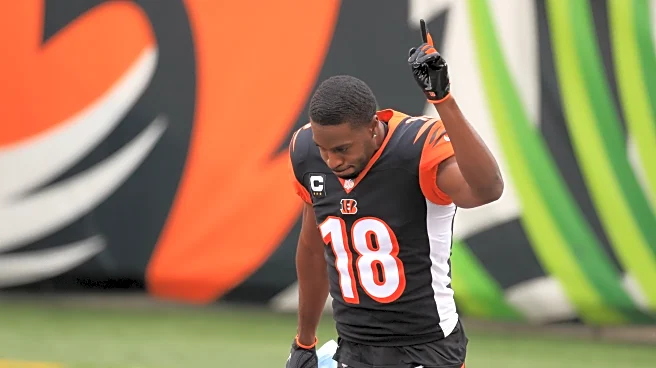 Bengals News (3/19): A.J. Green’s plea to NFL for better mental health support