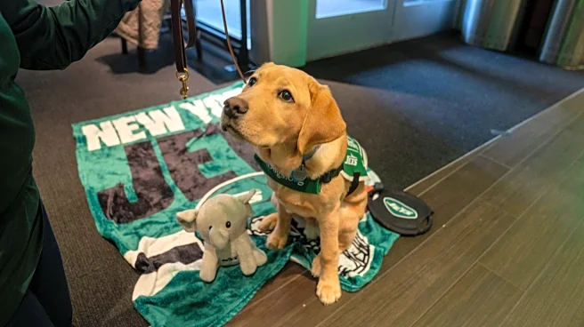 New York Jets Flight Connections 03/19/26