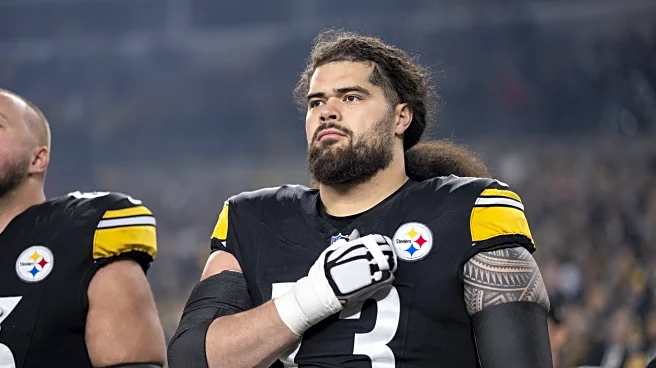 Analysis and grading of the Cardinals’ free agent signings: Offense Edition