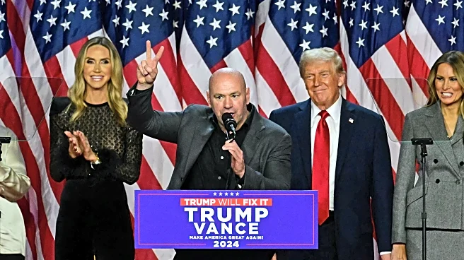 UFC announces commission to advise on regulations for White House event