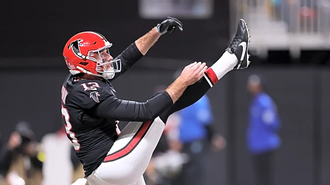 Dolphins sign second punter of the offseason