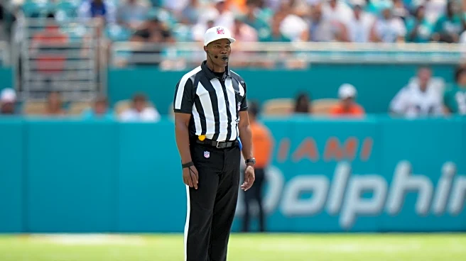 Miami Dolphins Fans Share NFL Rules They Would Change