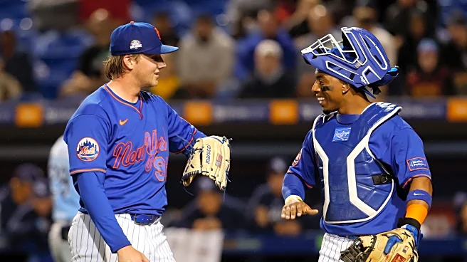 Spring Breakout Recap: Rays 2, Mets 0