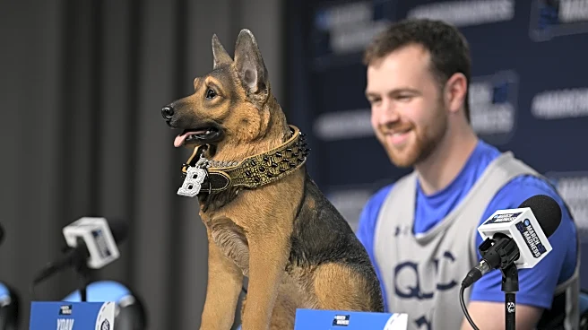 NCAA Tournament Preview: #2 Purdue vs. #15 Queens