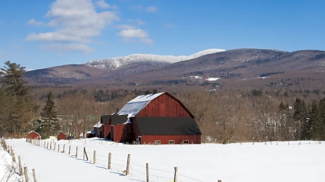 The Link Farm: 3.20.26