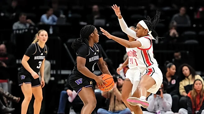 Friday Dots: Jackrabbit Hunting