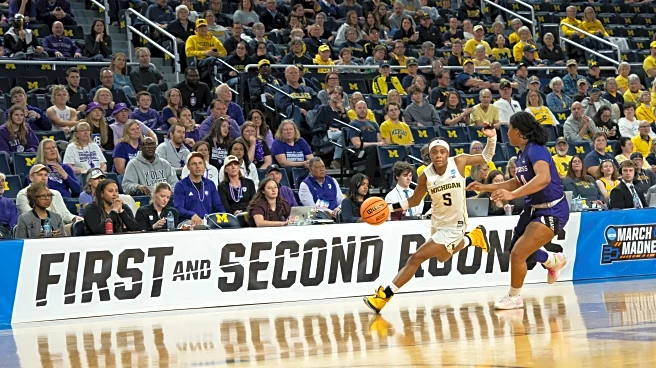 Everything Kim Barnes Arico, players said after Michigan beats Holy Cross