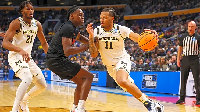 No. 1 Michigan vs. No. 9 Saint Louis Preview: Fast and lethal