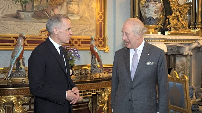 The Annual BBB Introduction Post