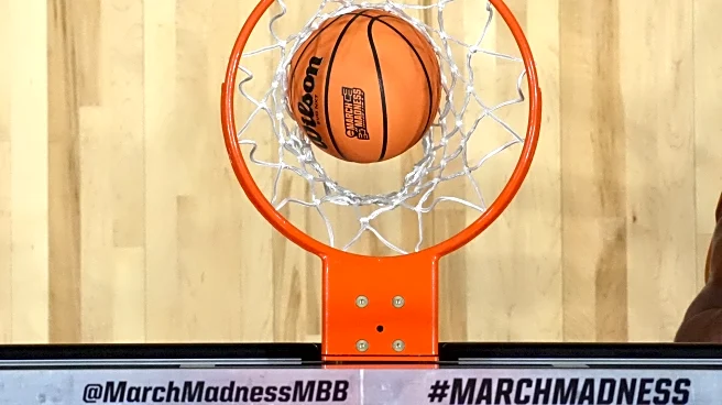 The Weekend Mauling: 3/21/26