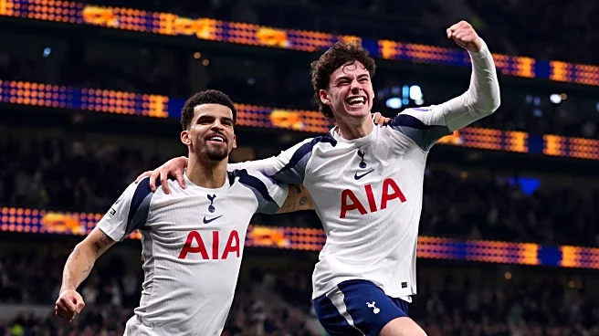 Former Premier League Player Urges Newcastle to Chase Tottenham Player