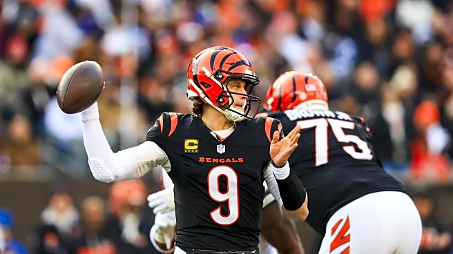 Joe Burrow wants to play in the Olympics