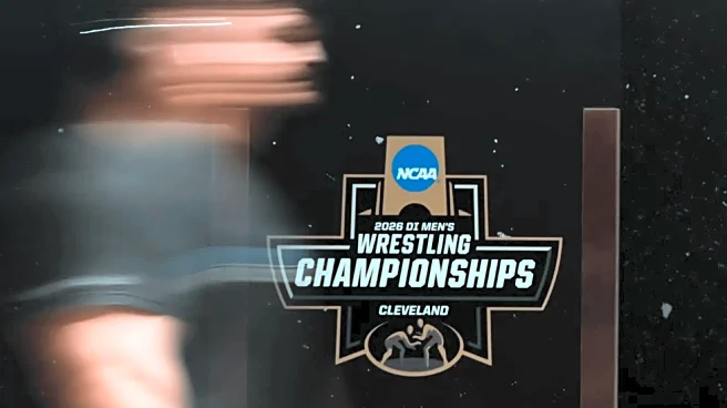 Wrestling: Northwestern falls in NCAA Championships, earns 0 team points