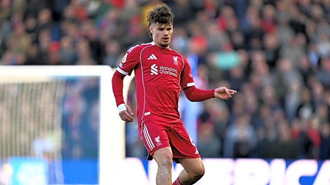 Milos Kerkez: “We Didn’t Create As Much As We Wanted”