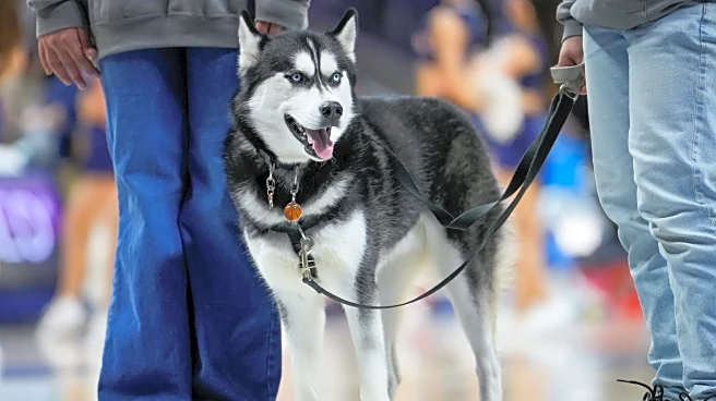 Your NCAA Women’s Basketball Tournament Viewing Guide: March 23