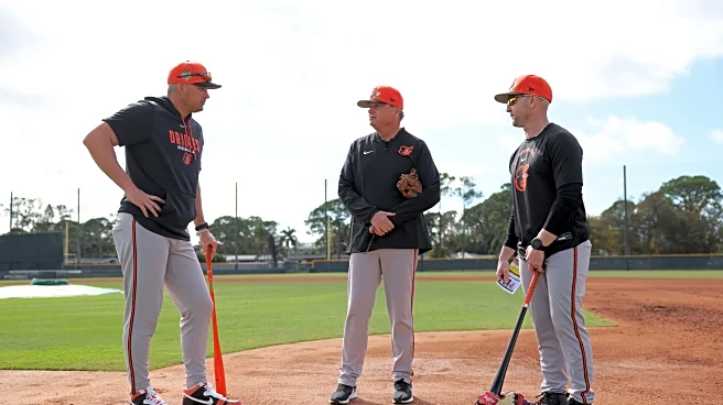 What we learned at Orioles spring training