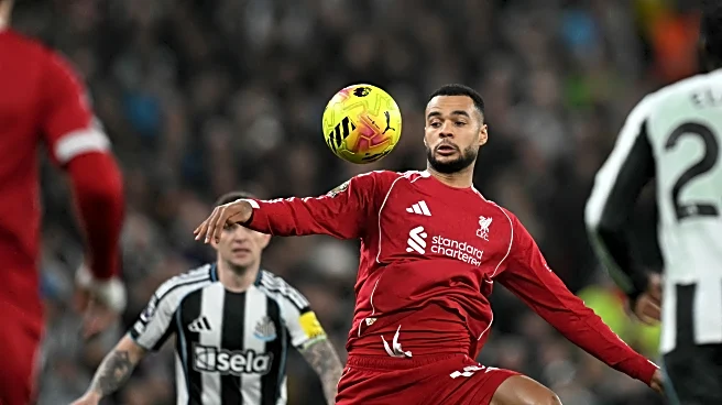 Rumour Mongering: Liverpool Looking to Replace Gakpo with Gordon