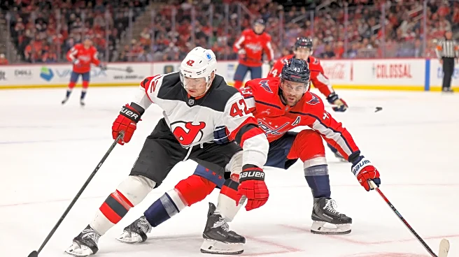 The Metropolitan Division Sunk The New Jersey Devils This Season