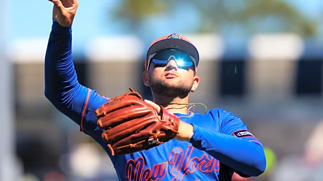 Bo Bichette, Mets look to turn a marriage of convenience into something special